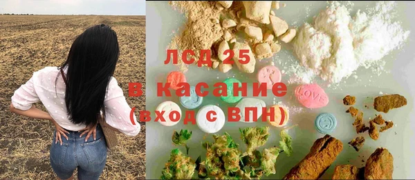 эйфоретик Баксан