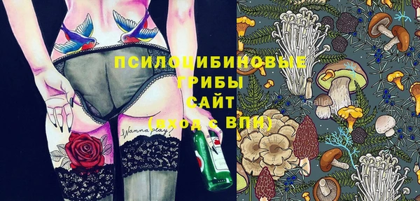 эйфоретик Баксан