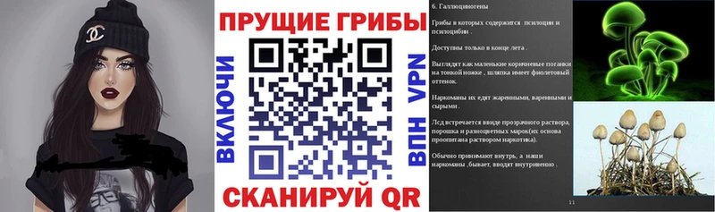 хочу наркоту Красноармейск мега Галлюциногенные грибы Psilocybine cubensis